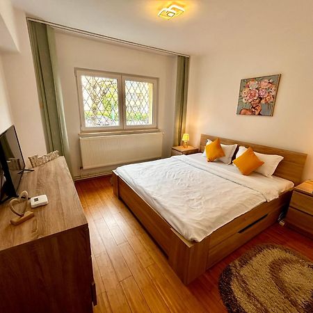 Jad - Familiy 4 Rooms Apartment - Near Forest And Historic Center - Racadau Brašov Exteriér fotografie