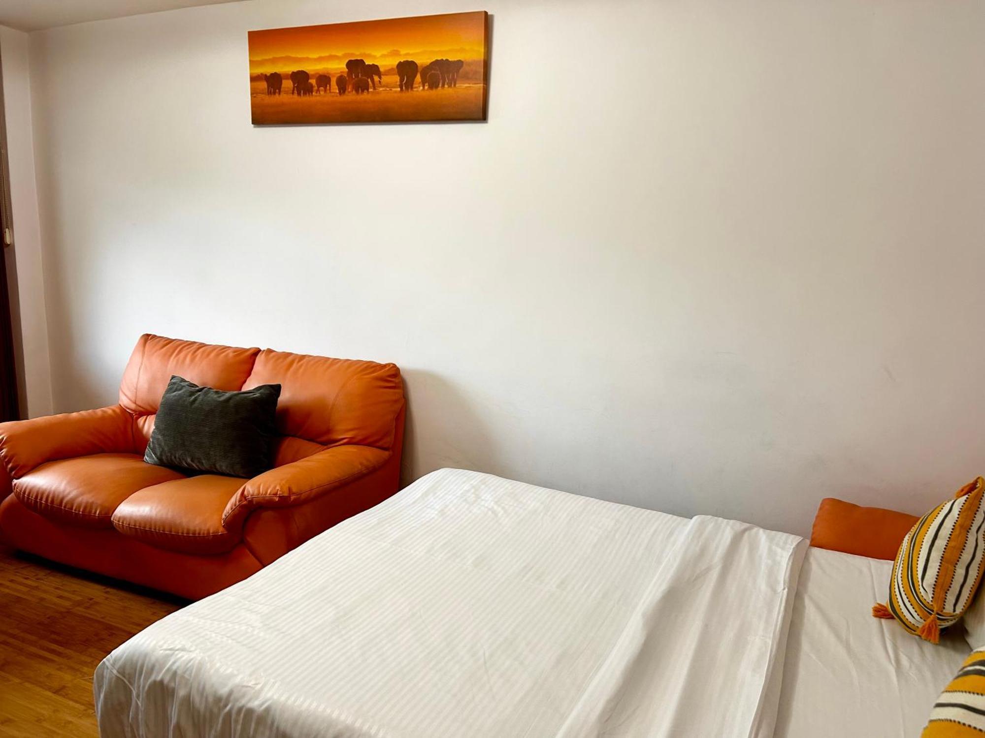 Jad - Familiy 4 Rooms Apartment - Near Forest And Historic Center - Racadau Brašov Exteriér fotografie