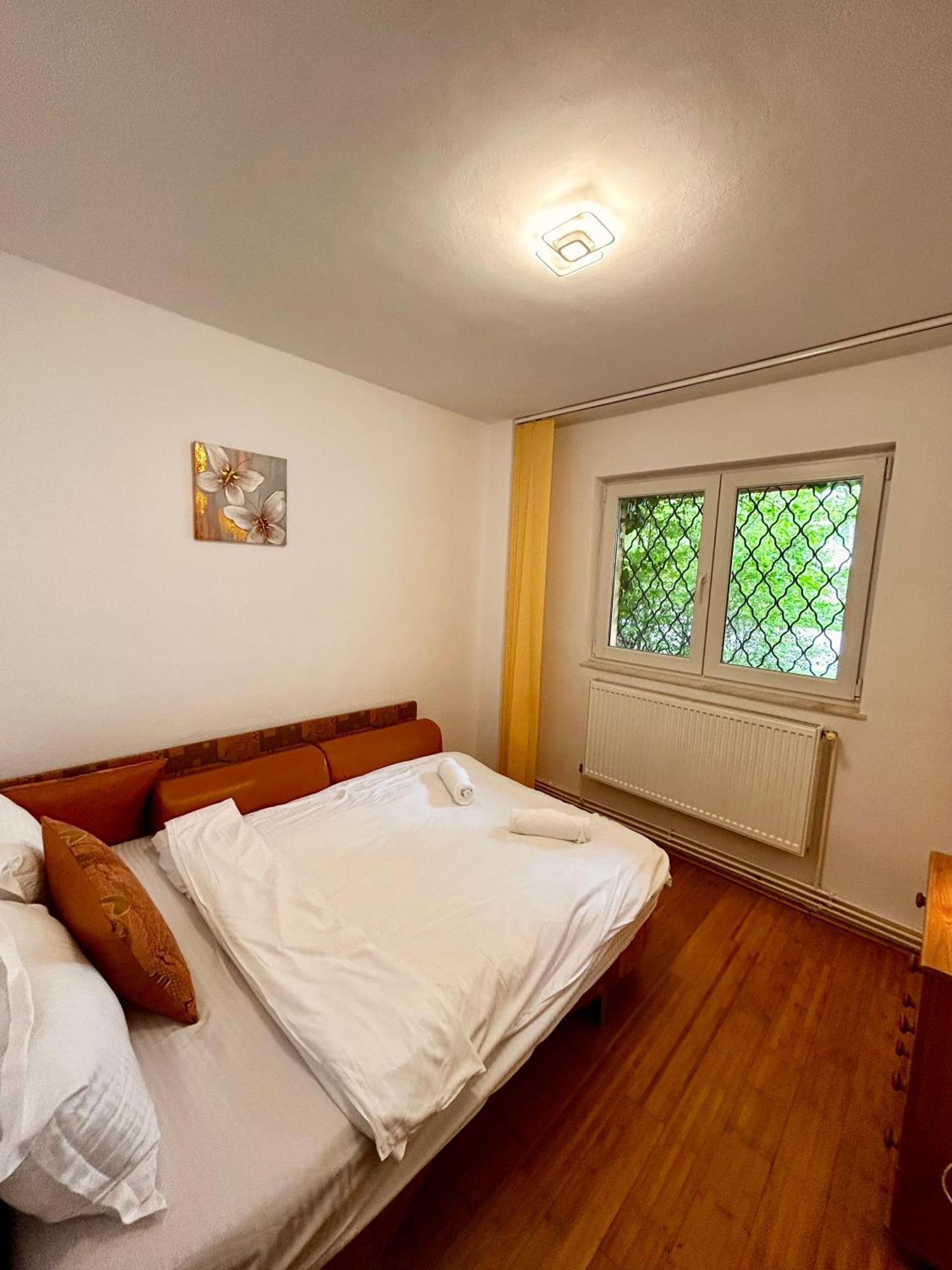 Jad - Familiy 4 Rooms Apartment - Near Forest And Historic Center - Racadau Brašov Exteriér fotografie
